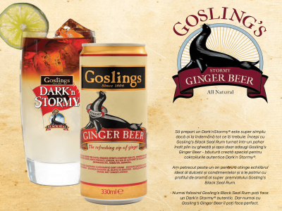 Reteta cocktail Dark n’Stormy: o bautura de nelipsit de la orice petrecere